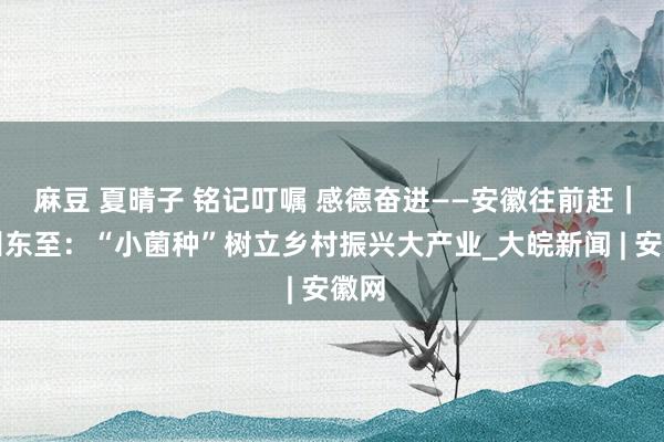 麻豆 夏晴子 铭记叮嘱 感德奋进——安徽往前赶｜池州东至：“小菌种”树立乡村振兴大产业_大皖新闻 | 安徽网