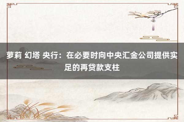 萝莉 幻塔 央行：在必要时向中央汇金公司提供实足的再贷款支柱
