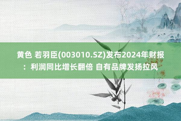 黄色 若羽臣(003010.SZ)发布2024年财报：利润同比增长翻倍 自有品牌发扬拉风
