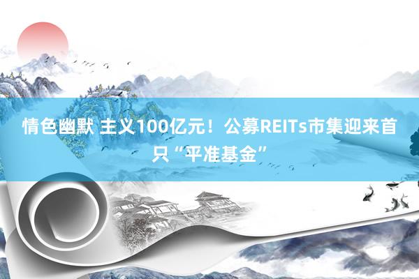 情色幽默 主义100亿元！公募REITs市集迎来首只“平准基金”