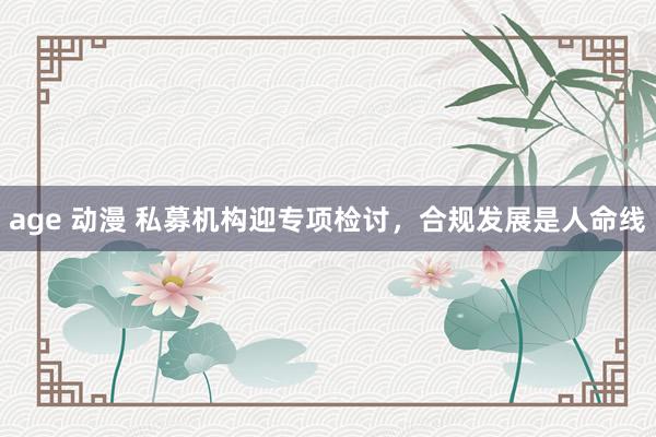 age 动漫 私募机构迎专项检讨，合规发展是人命线